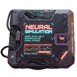Neuro-Simulation